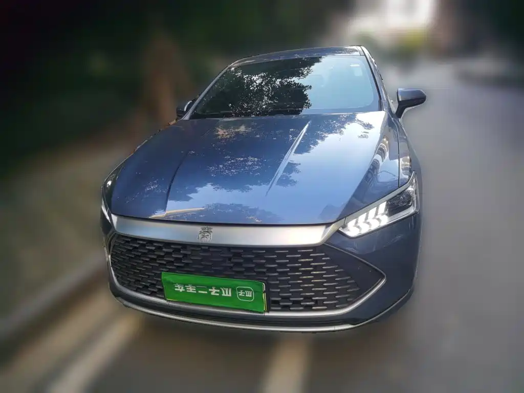 BYD Qin PLUS — фото 2