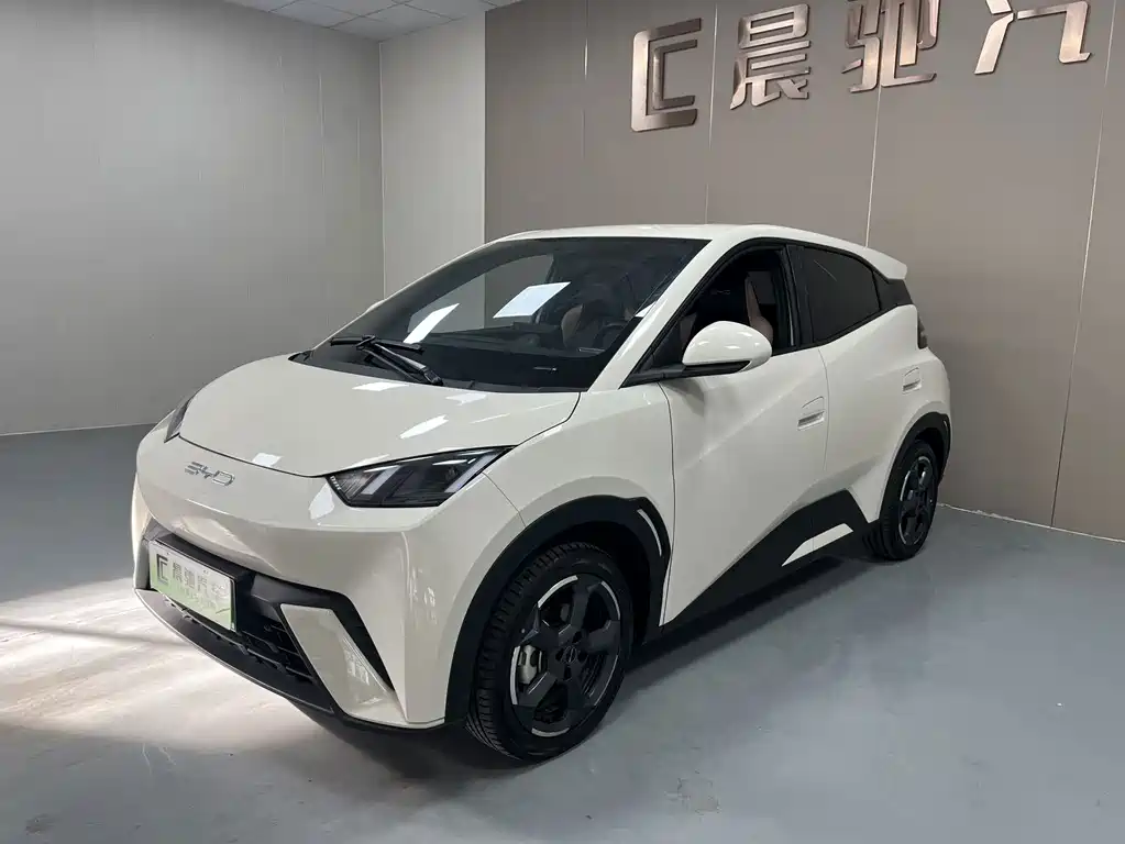 BYD Seagull
