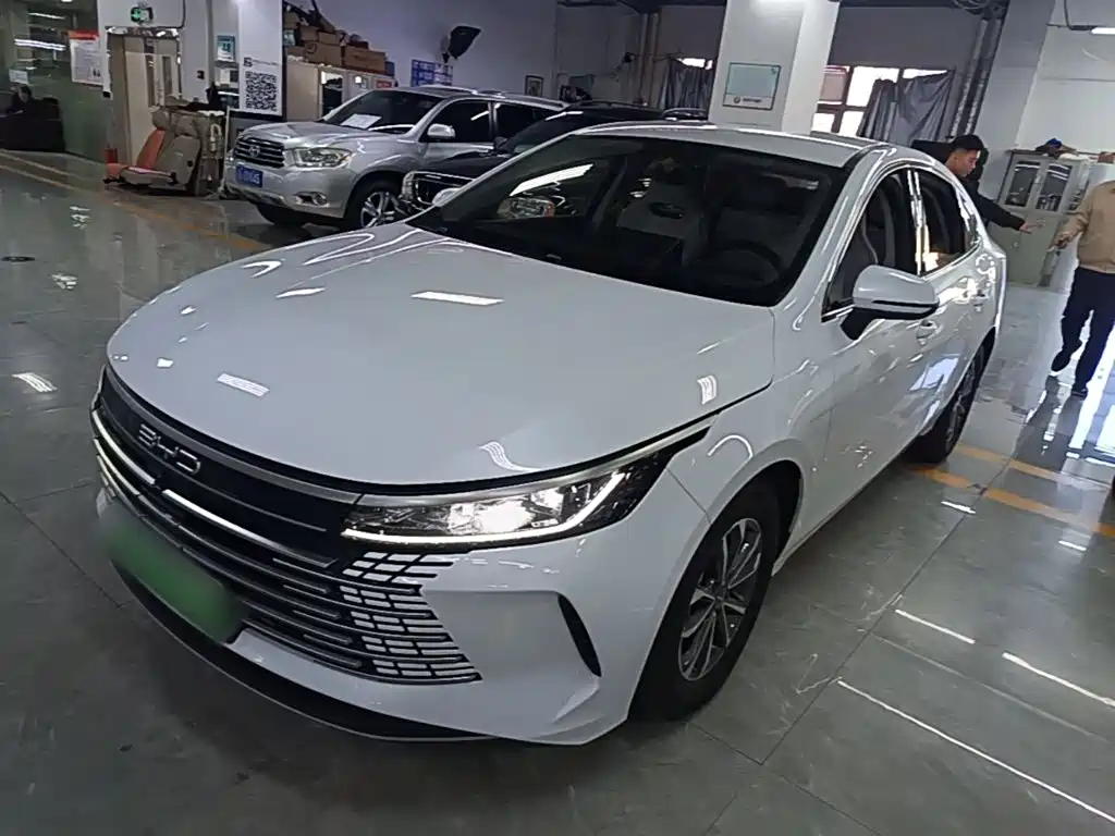 BYD Destroyer 05 — фото 2