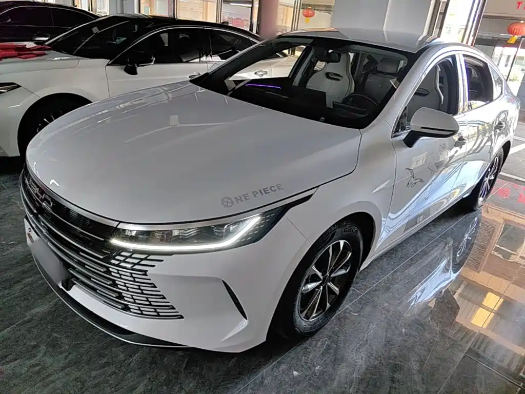 BYD Destroyer 05 — фото 2