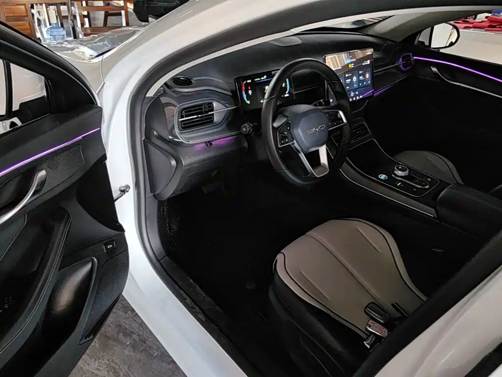 BYD Destroyer 05 — фото 16