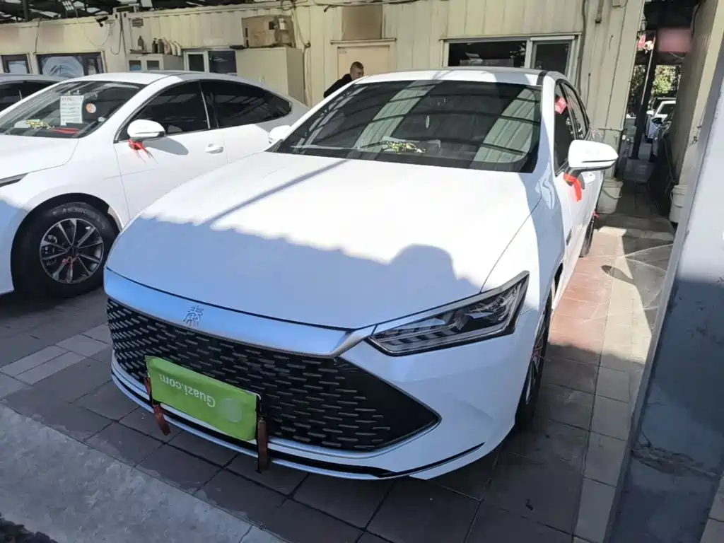BYD Qin PLUS — фото 2