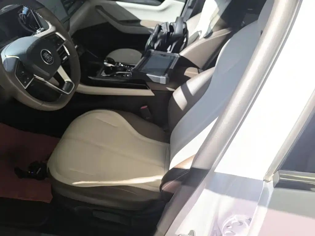 BYD Qin PLUS — фото 15