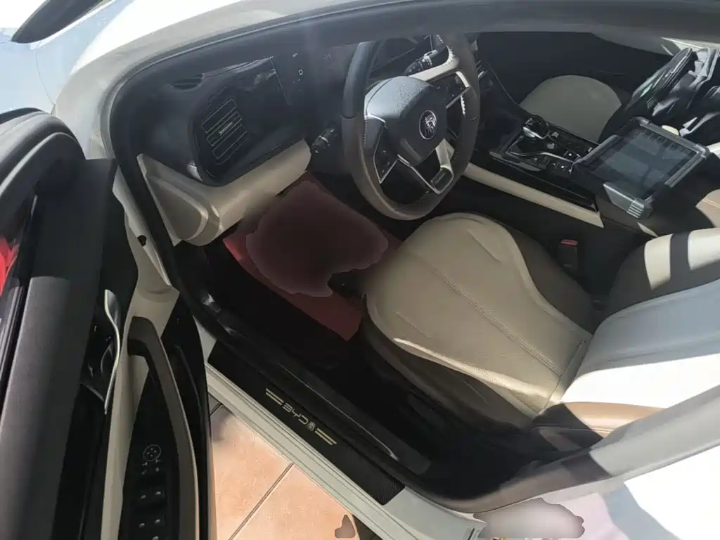 BYD Qin PLUS — фото 16