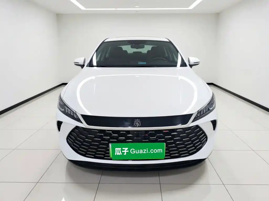 BYD Qin PLUS — фото 2