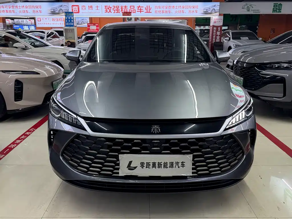 BYD Qin PLUS — фото 2