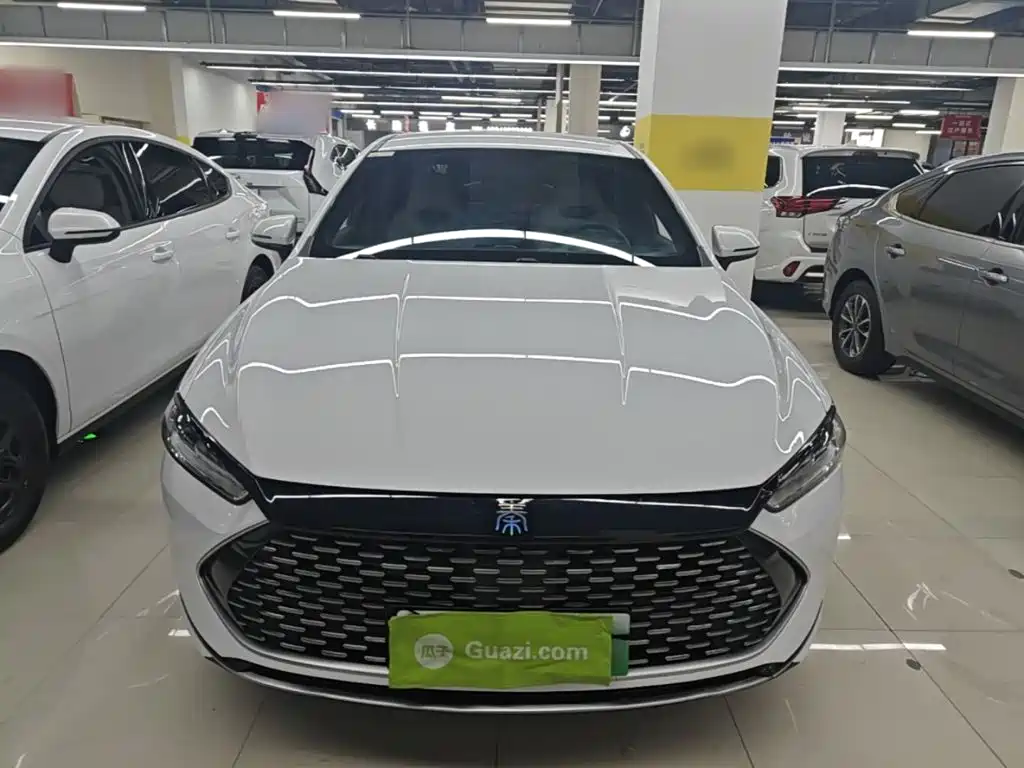 BYD Qin PLUS — фото 3
