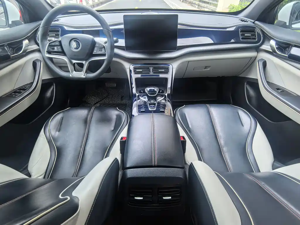 BYD Qin PLUS — фото 11