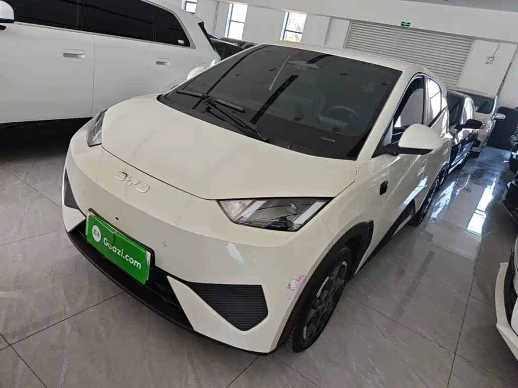 BYD Seagull