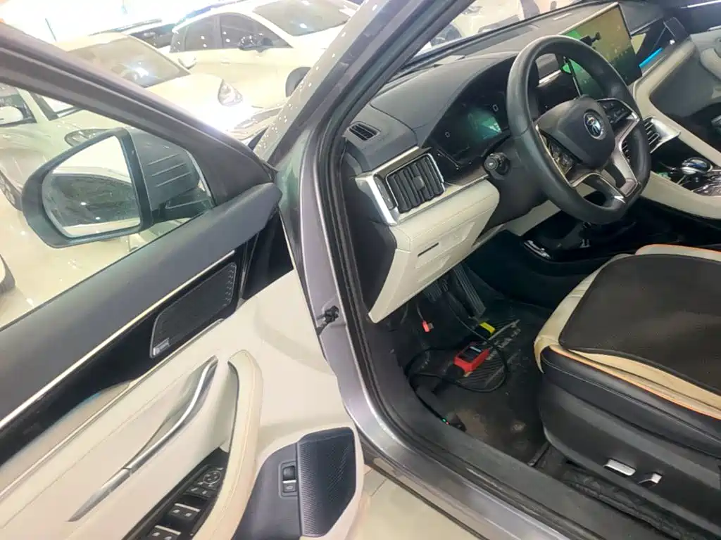 BYD PLUS New Energy — фото 16