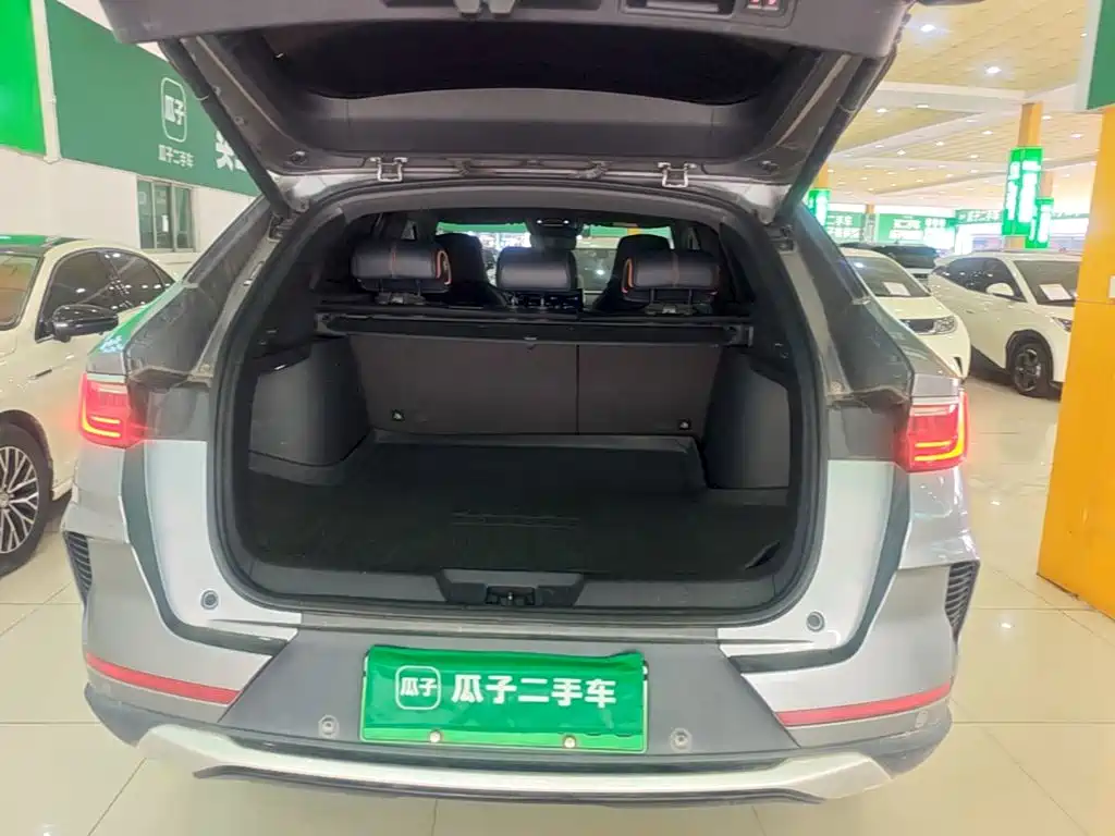BYD PLUS New Energy — фото 19