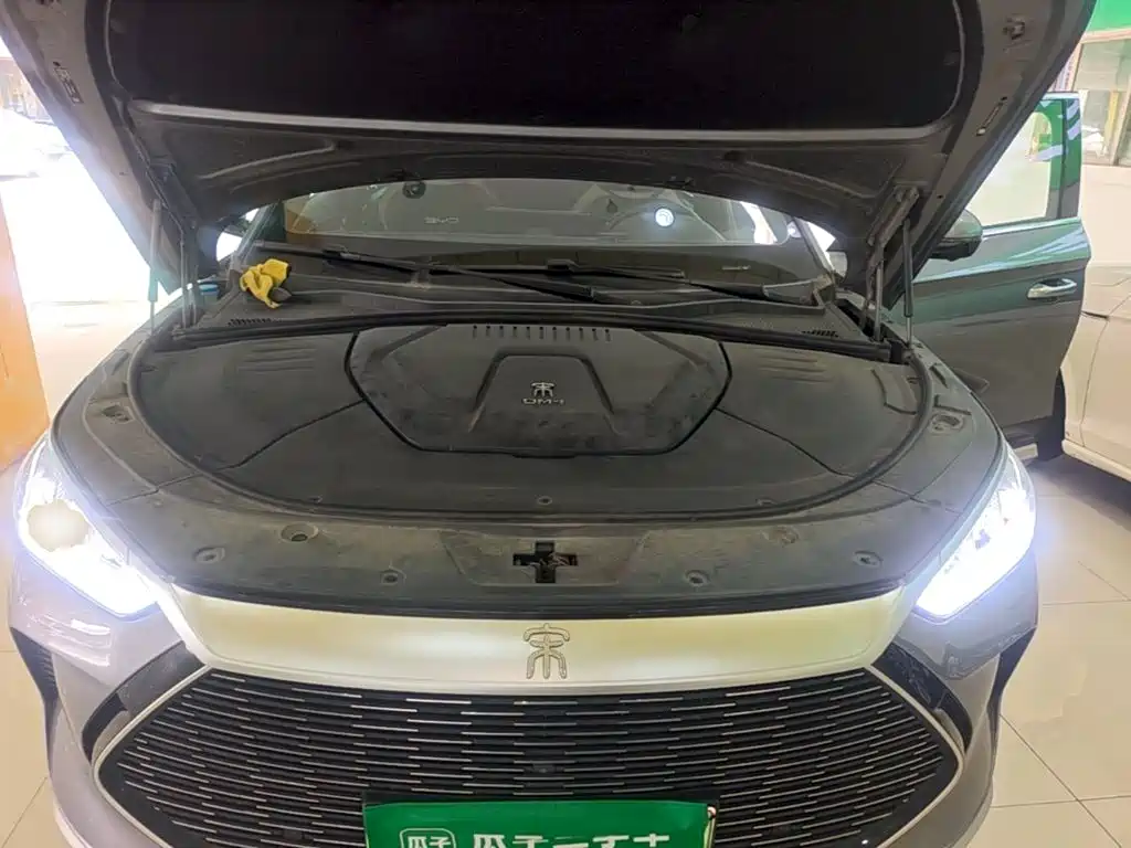 BYD PLUS New Energy — фото 20