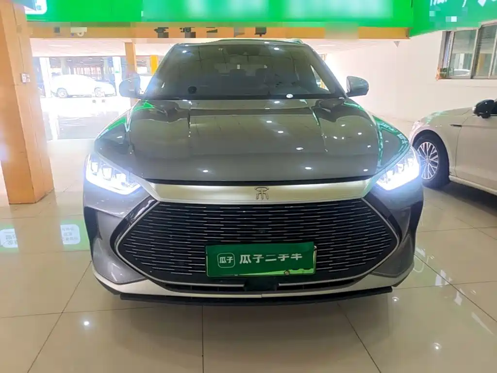 BYD PLUS New Energy — фото 3