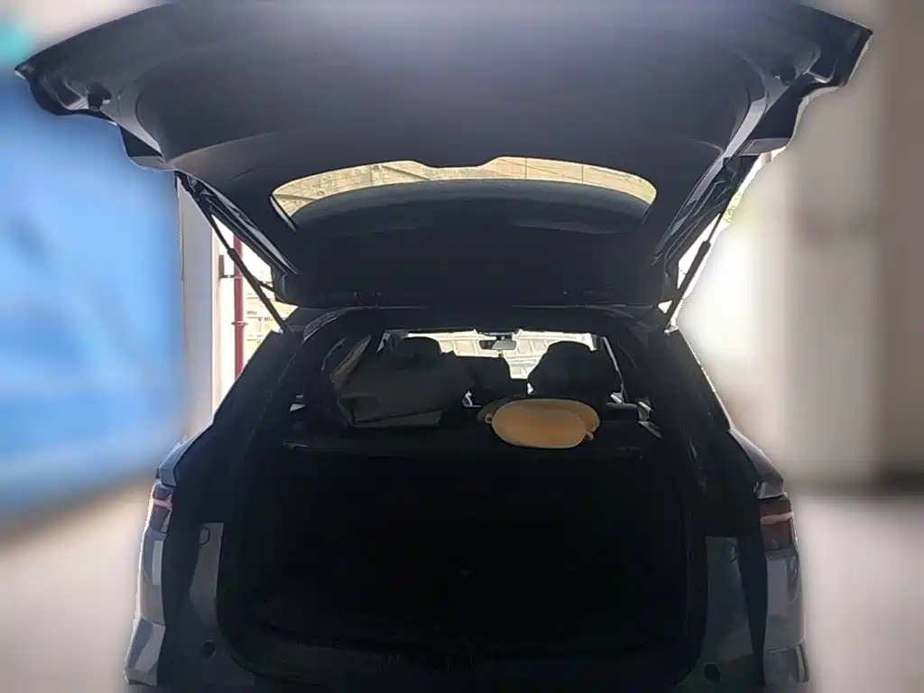 BYD Pro New Energy — фото 24
