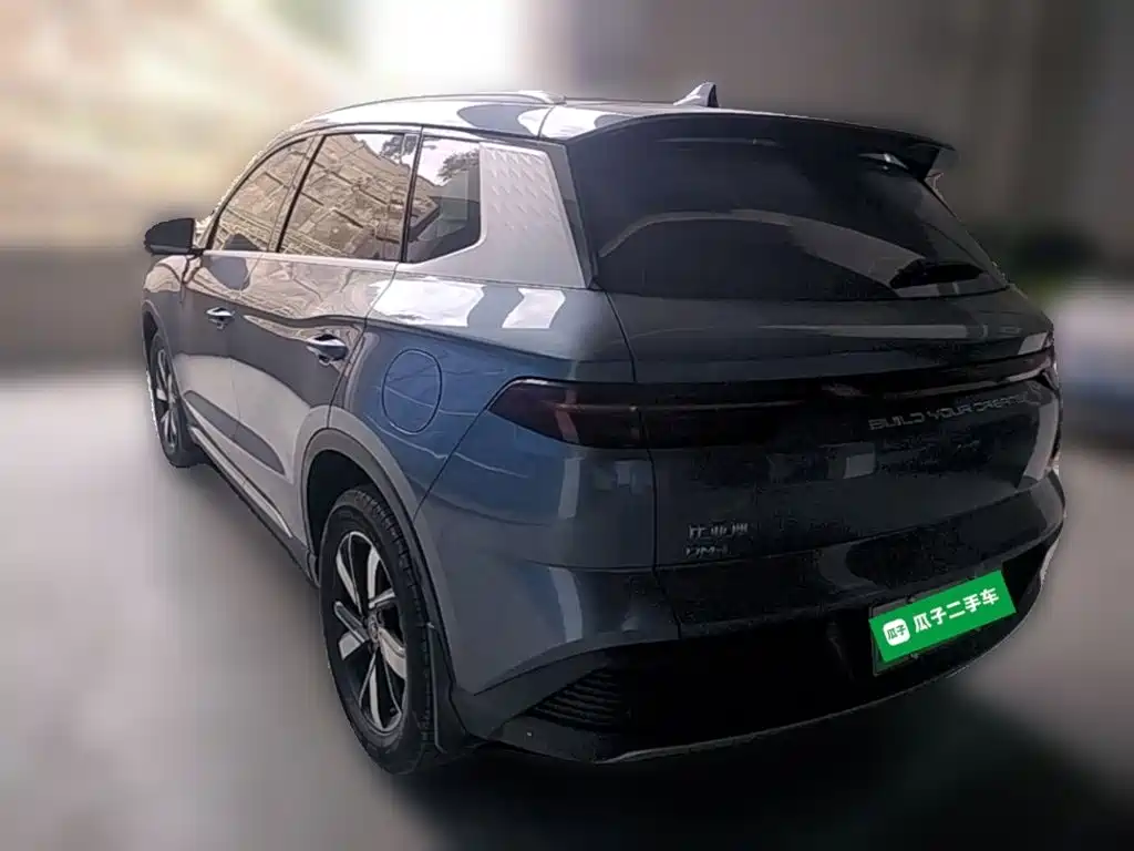 BYD Pro New Energy — фото 7