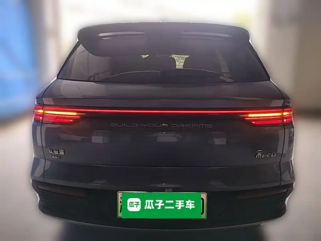 BYD Pro New Energy — фото 8