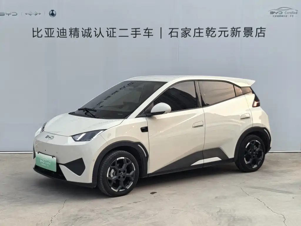 BYD Seagull