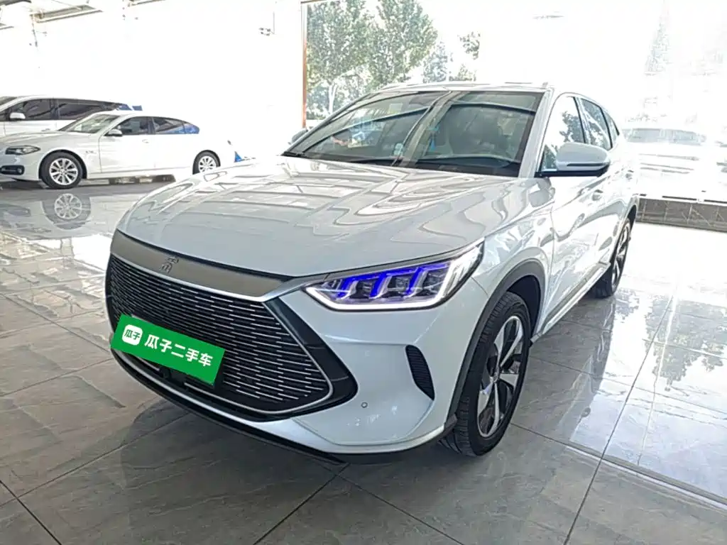 BYD PLUS New Energy — фото 2
