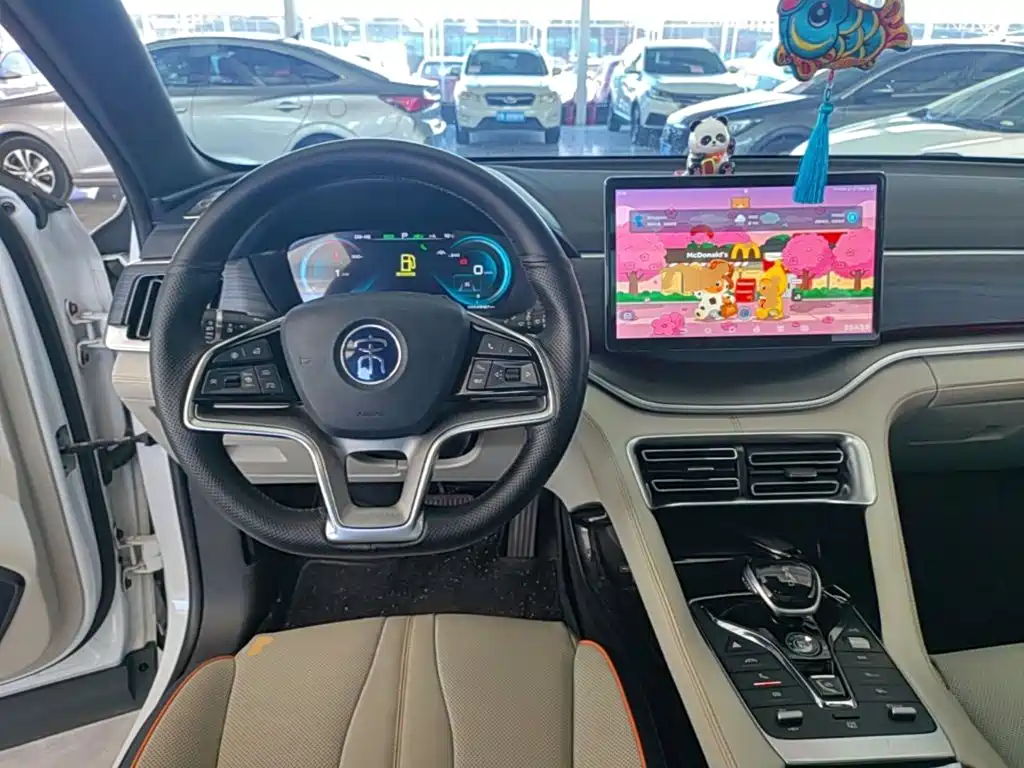 BYD PLUS New Energy — фото 11