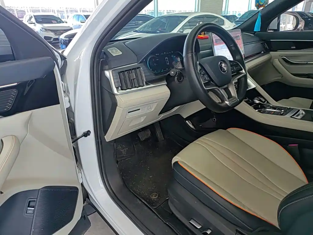 BYD PLUS New Energy — фото 16