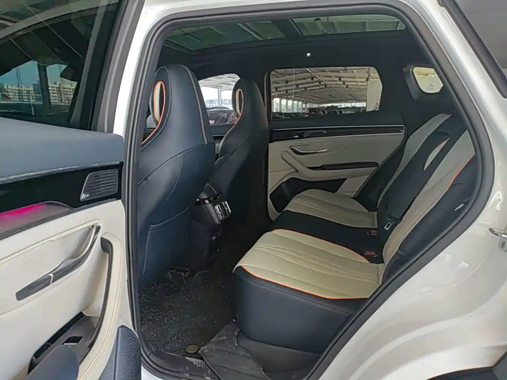 BYD PLUS New Energy — фото 17