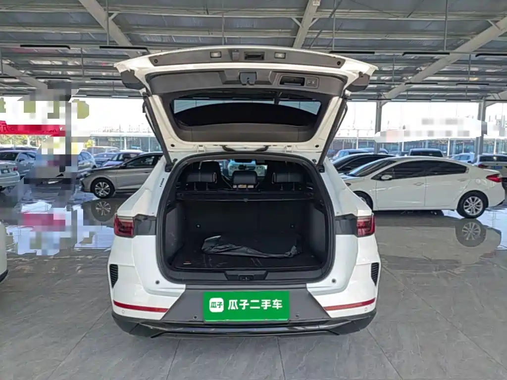 BYD PLUS New Energy — фото 19