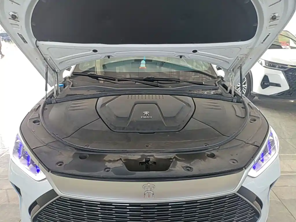 BYD PLUS New Energy — фото 20