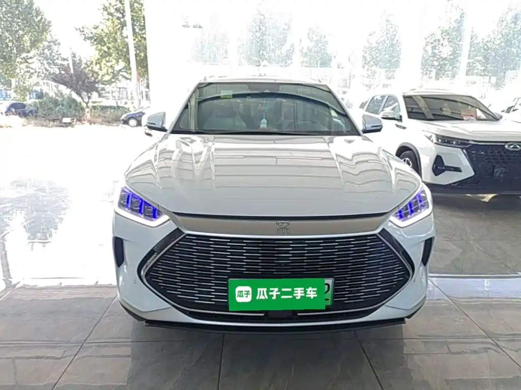 BYD PLUS New Energy — фото 3