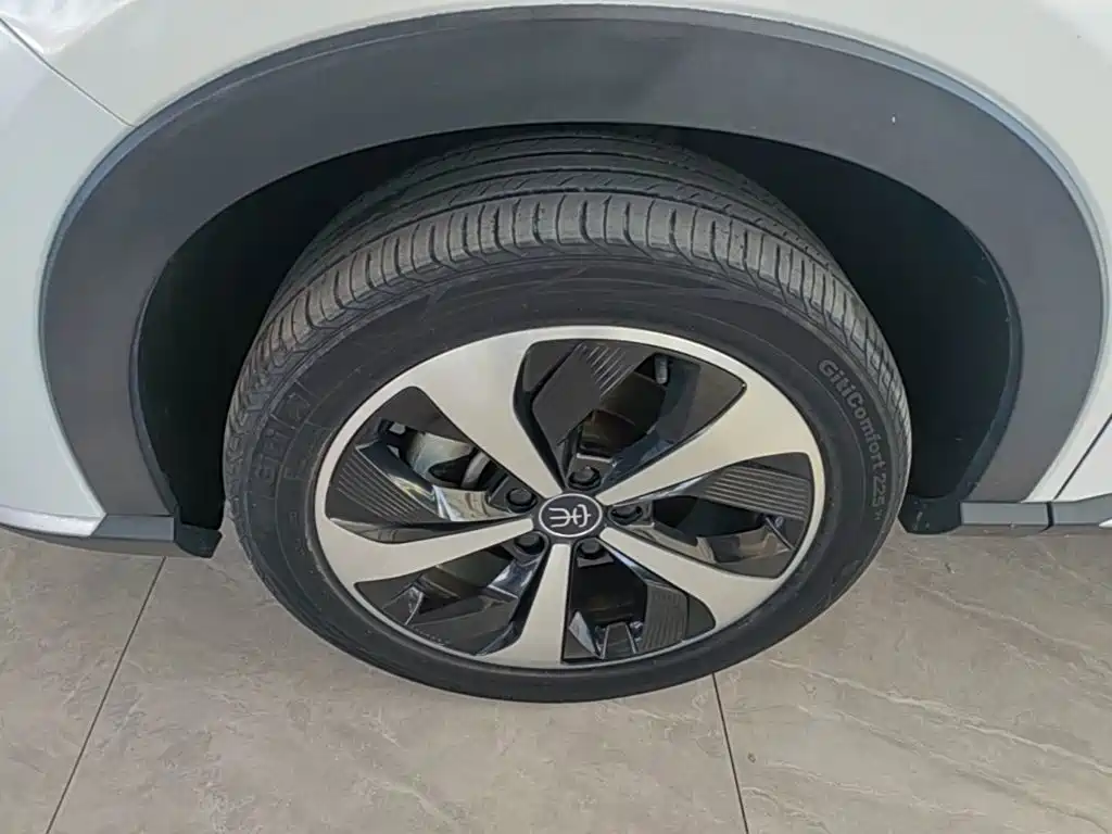BYD PLUS New Energy — фото 23