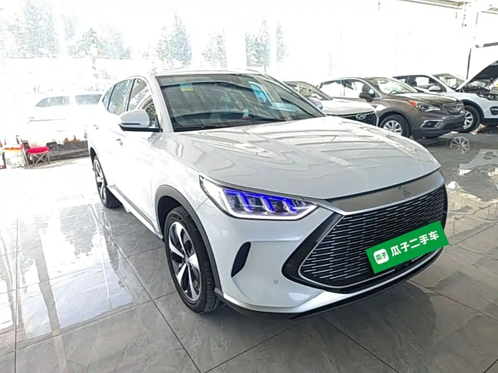 BYD PLUS New Energy — фото 4