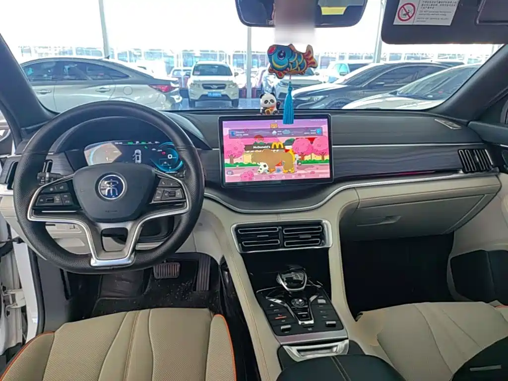 BYD PLUS New Energy — фото 10