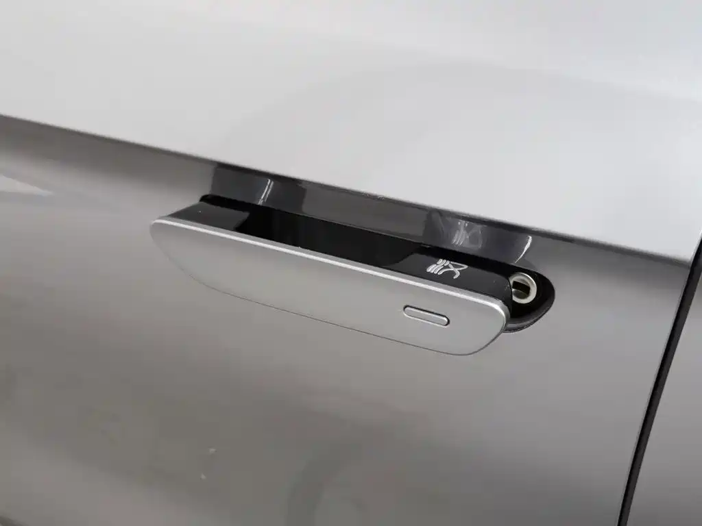 BYD Han — фото 18