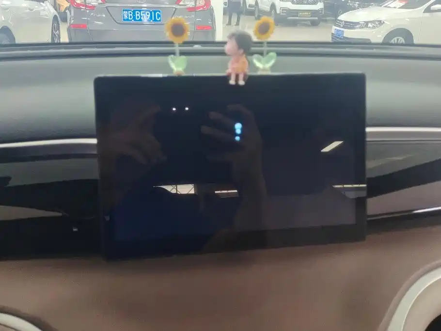 BYD Pro New Energy — фото 13
