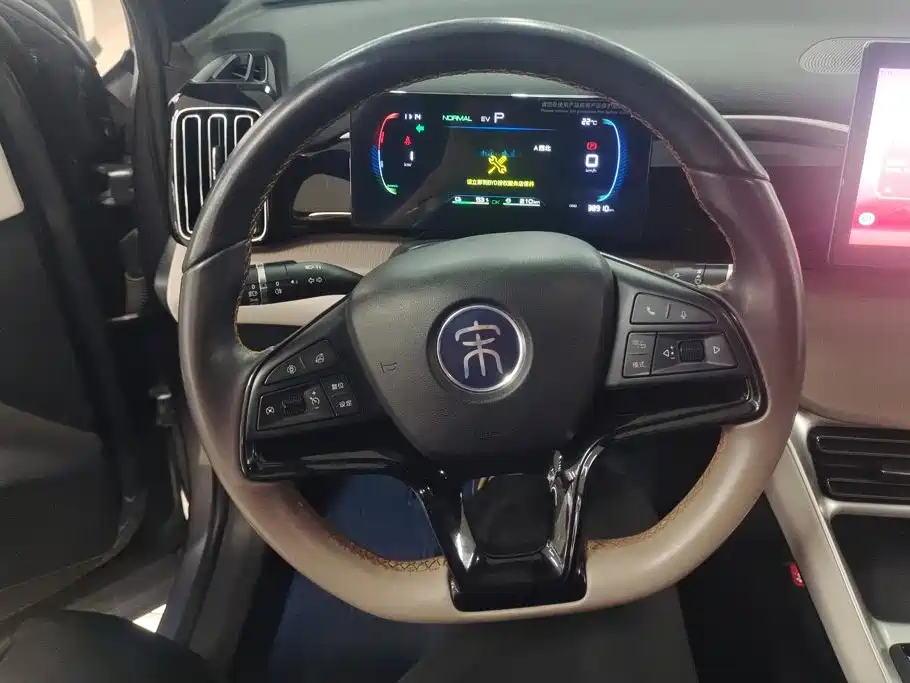 BYD Pro New Energy — фото 15