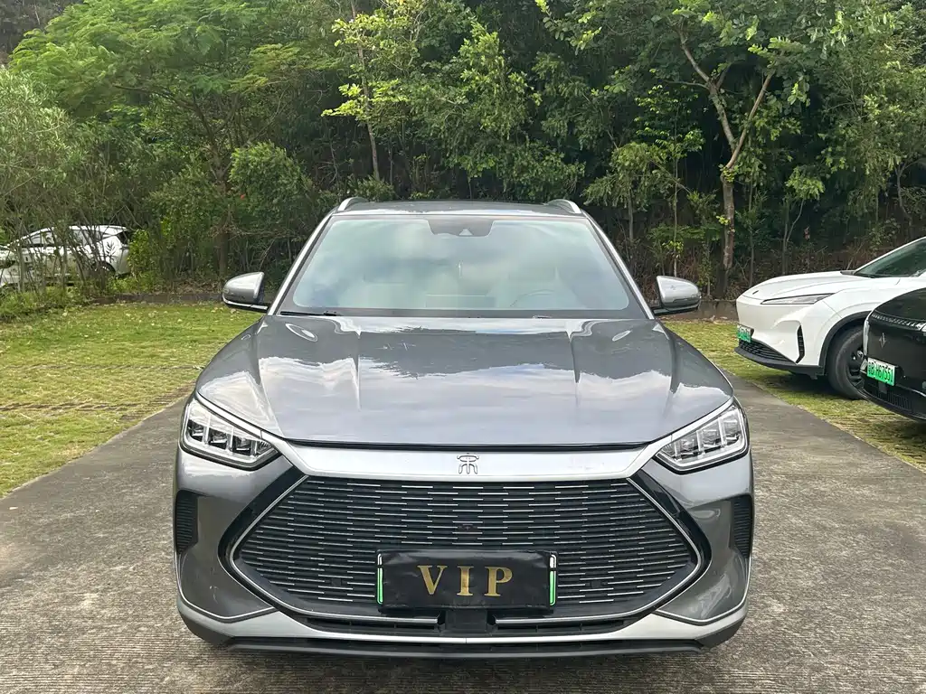 BYD PLUS New Energy — фото 2