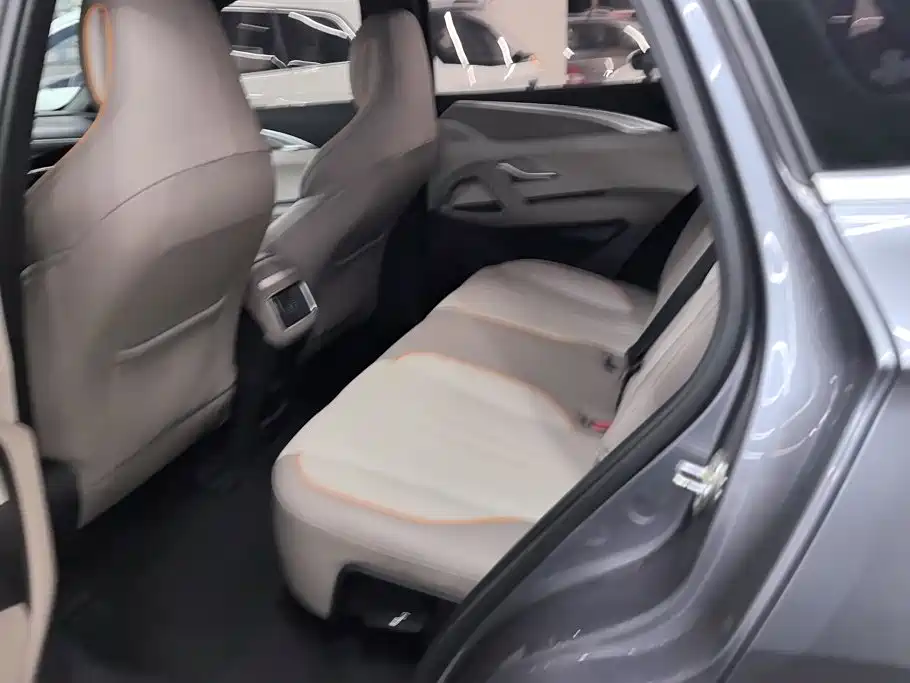 BYD Pro New Energy — фото 11