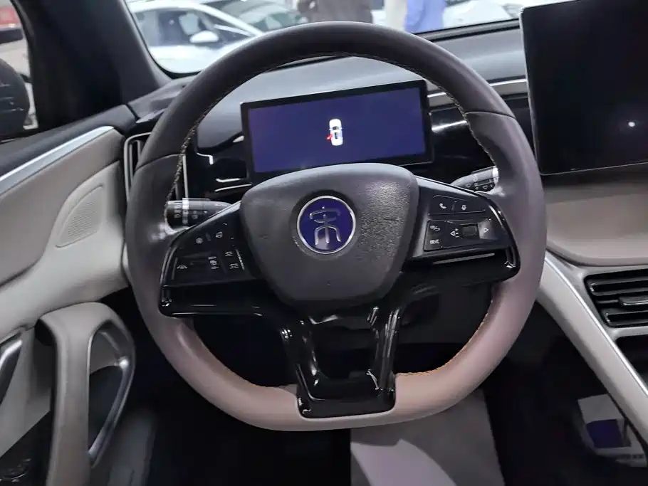 BYD Pro New Energy — фото 15