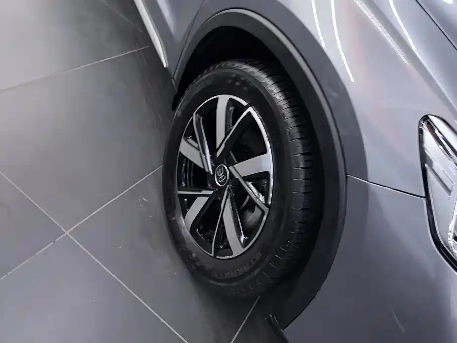 BYD Pro New Energy — фото 6