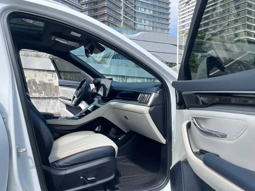 BYD PLUS New Energy — фото 11