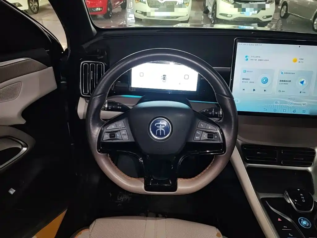 BYD Pro New Energy — фото 11
