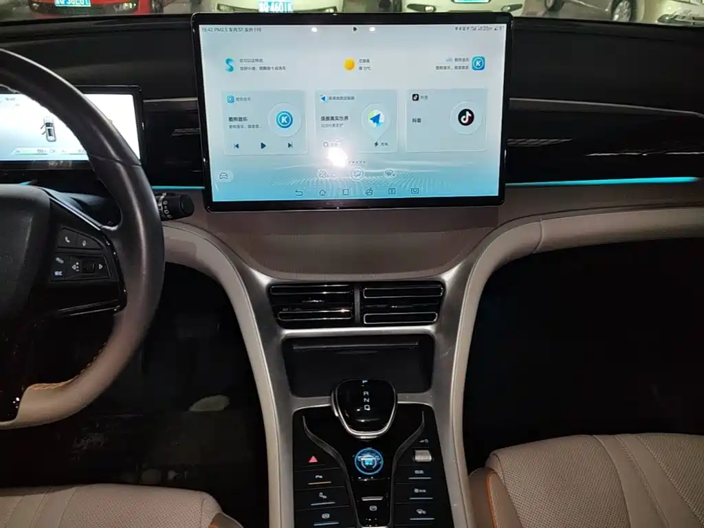 BYD Pro New Energy — фото 13