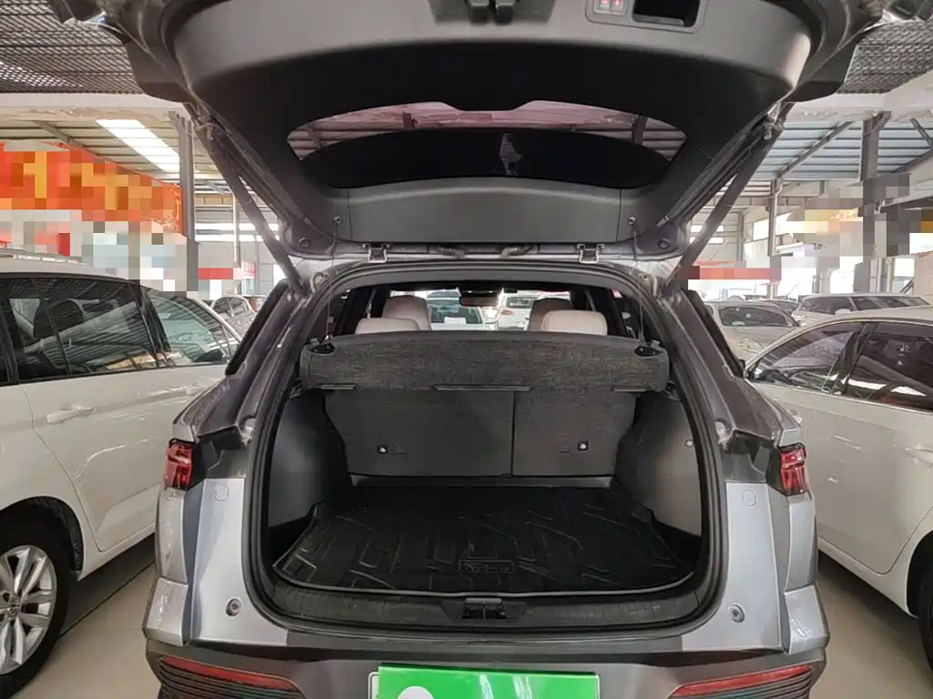 BYD Pro New Energy — фото 19