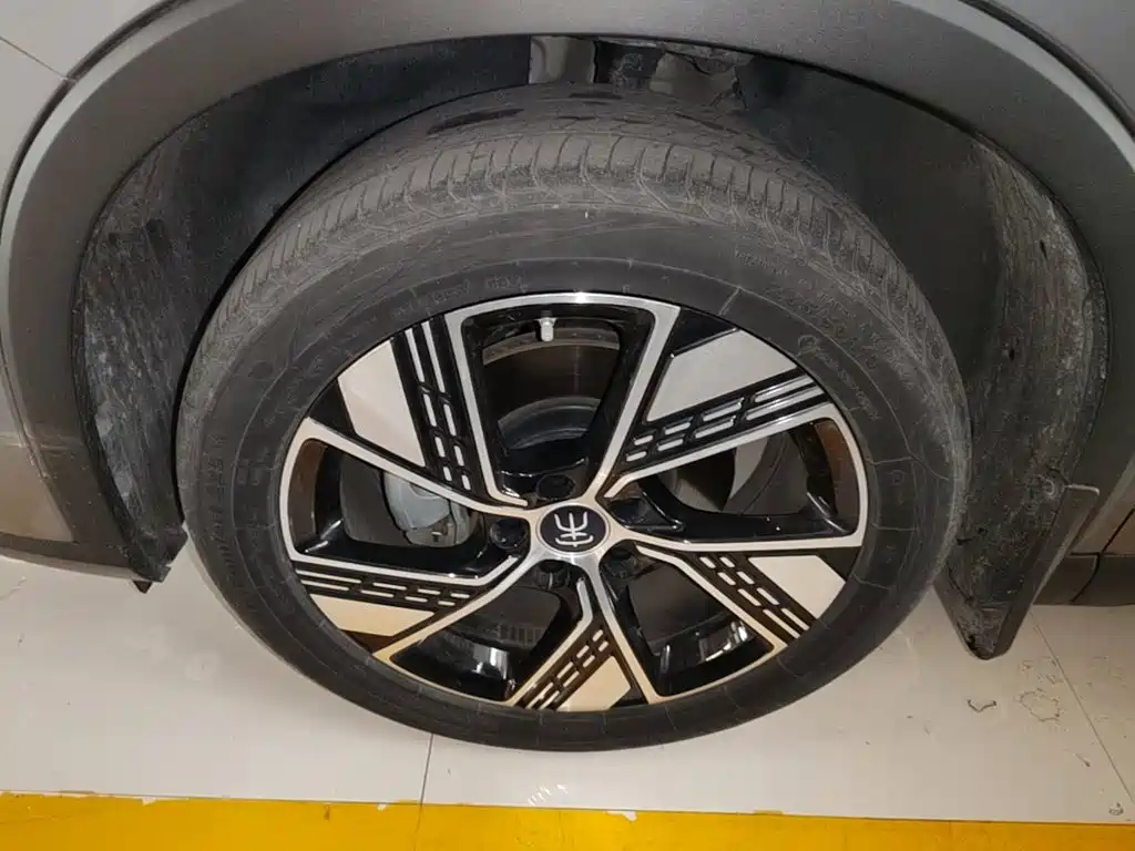 BYD Pro New Energy — фото 23