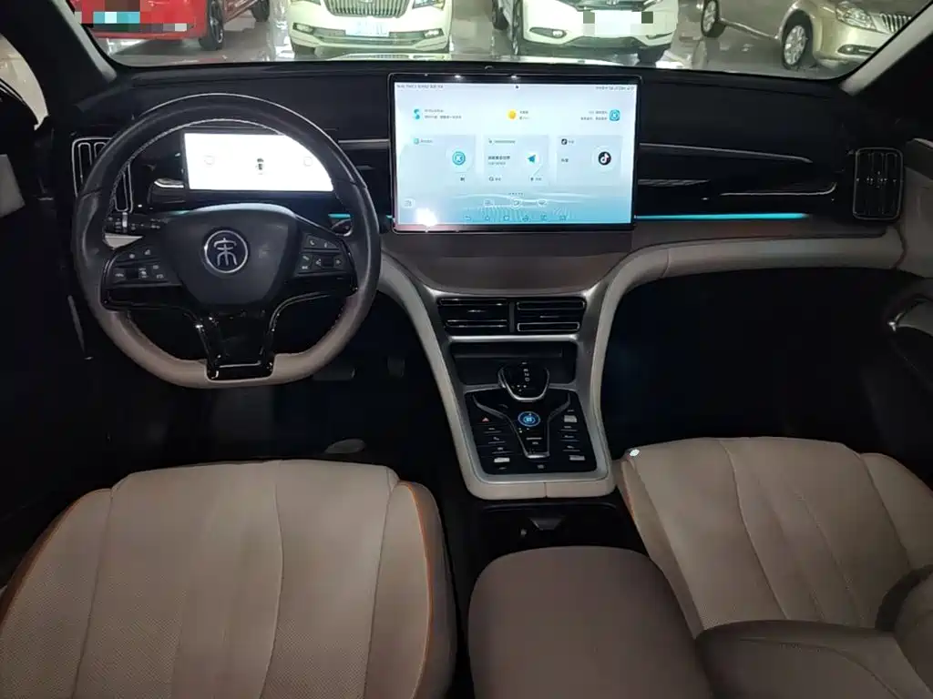 BYD Pro New Energy — фото 10