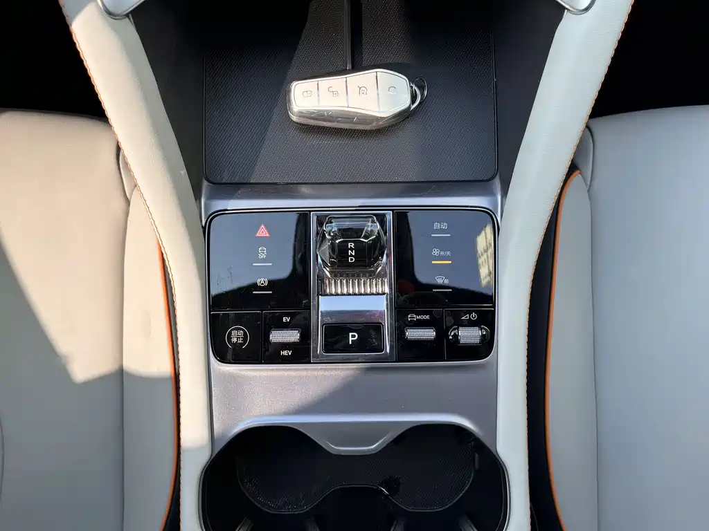 BYD PLUS New Energy — фото 11