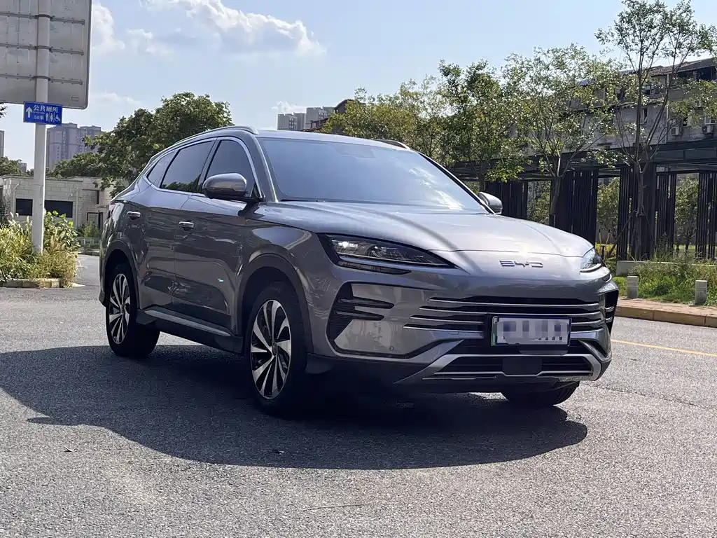 BYD PLUS New Energy — фото 3