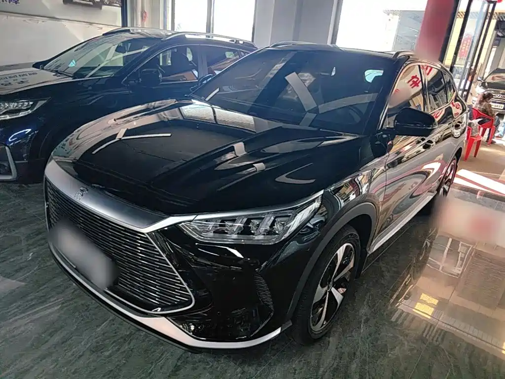 BYD PLUS New Energy — фото 2