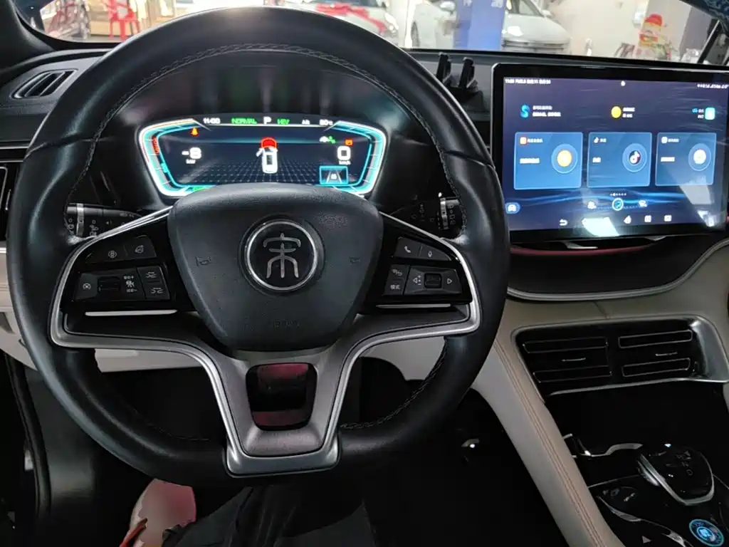 BYD PLUS New Energy — фото 11