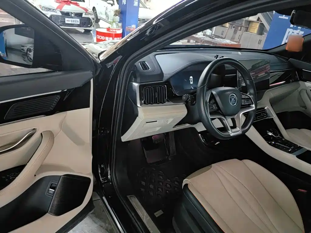 BYD PLUS New Energy — фото 16