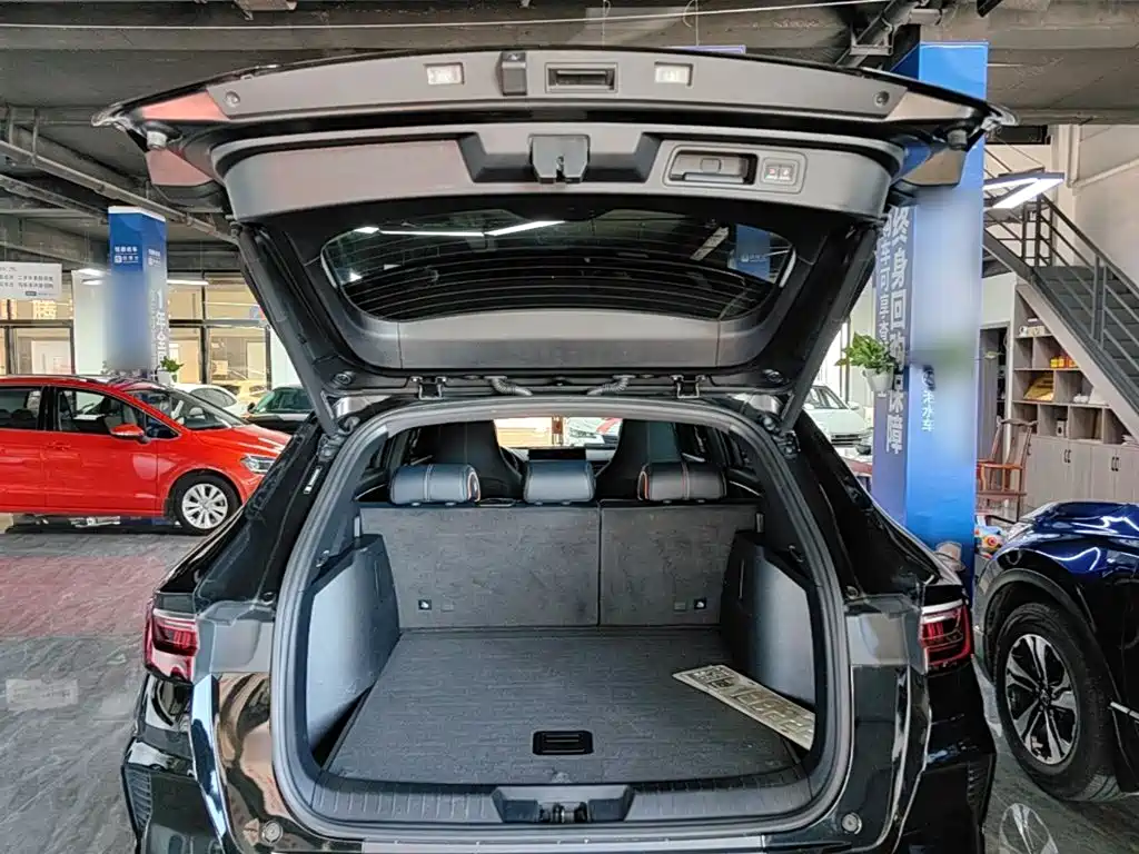 BYD PLUS New Energy — фото 19